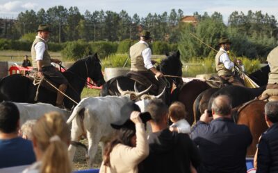 Il festival del cavallo