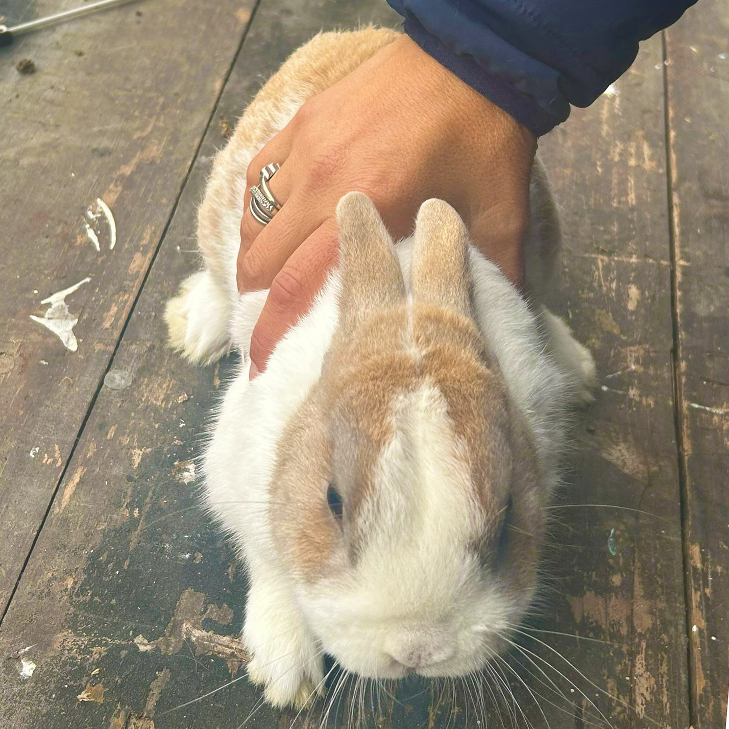 eee
