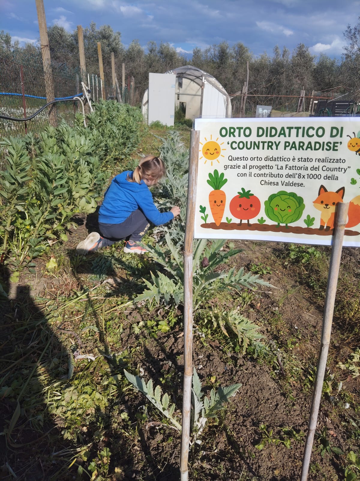 Immagine WhatsApp 2025-04-09 ore 14.54.17_56a46280